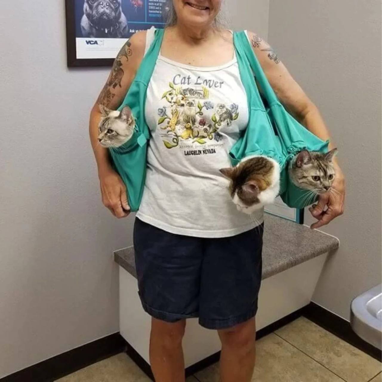 Buy 1 Get 1 FREE: PawSensi™ Cat Carrier Pouch
