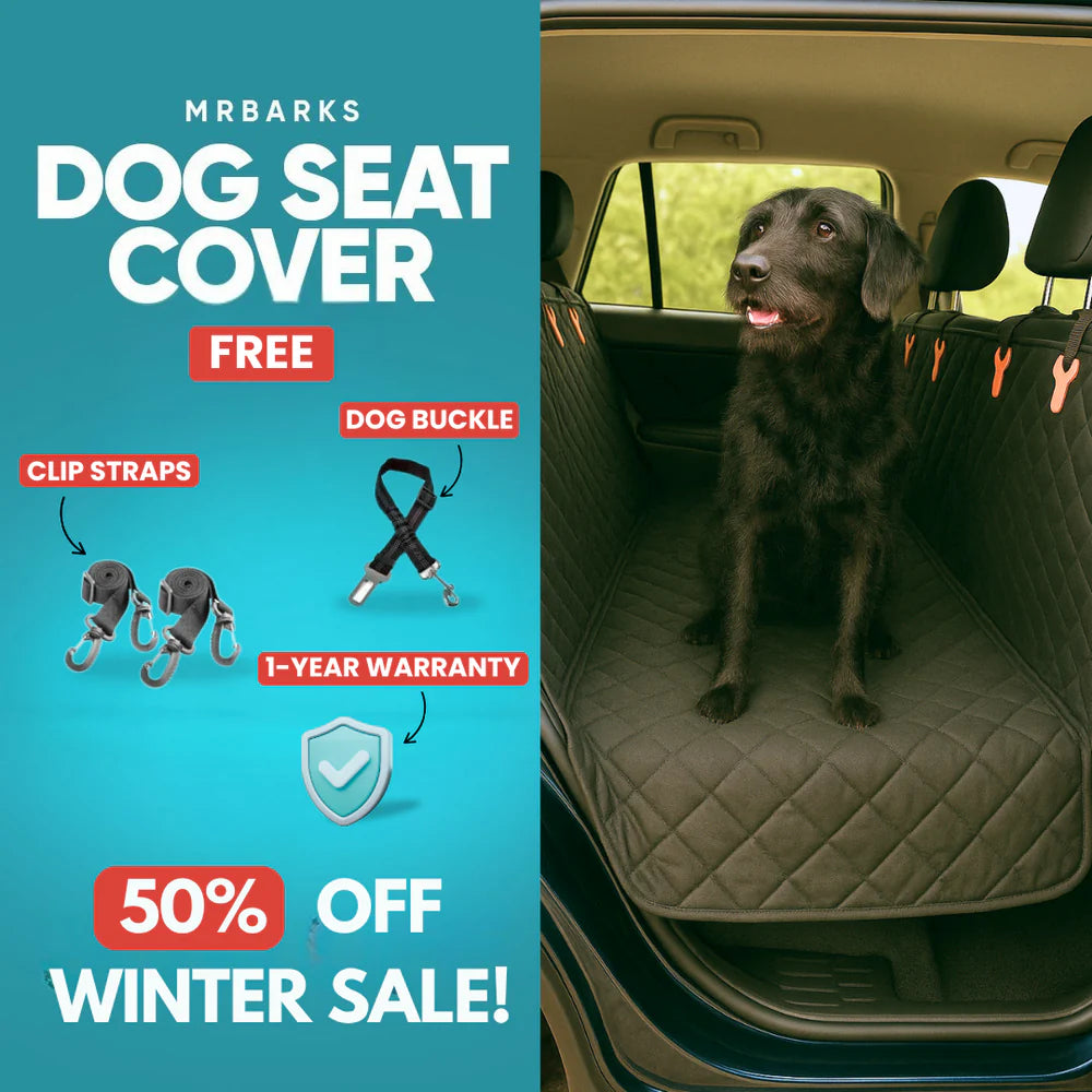 PawSensi™ Dog Seat Cover - 50% OFF