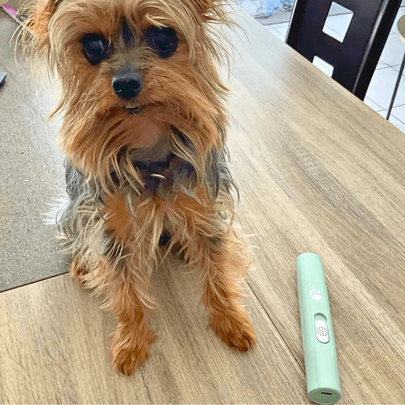 PawSensi™ Gentle Nail Grinder – Pain-Free Grooming