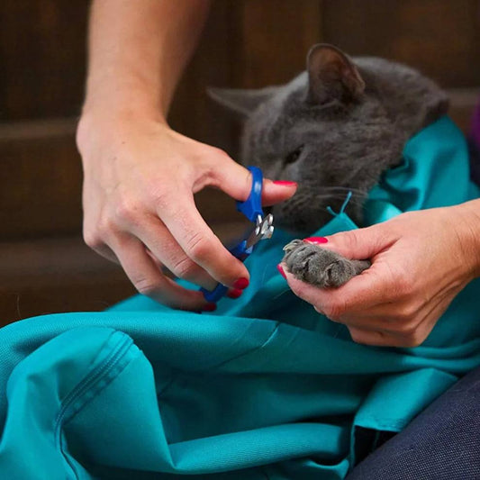 Buy 1 Get 1 FREE: PawSensi™ Cat Carrier Pouch