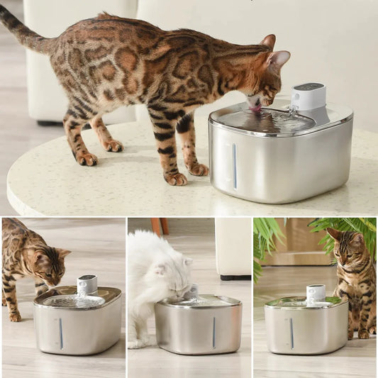 PawSensi™ Wireless Fountain – 30 Days of Fresh Water